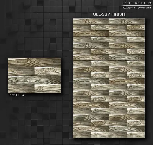 12x18 ELE GL 2 21