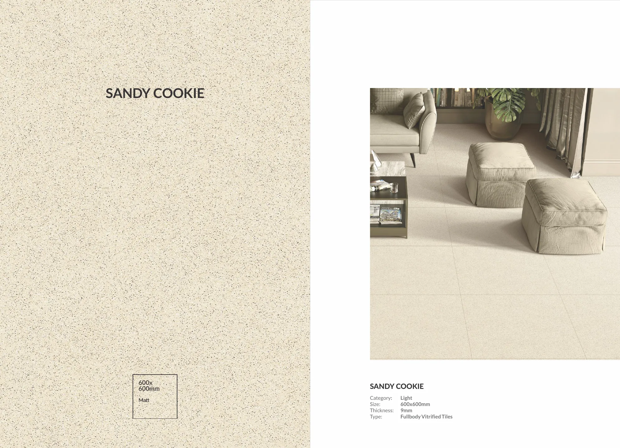 Ex sandy series 60x120cm,60x60cm 20
