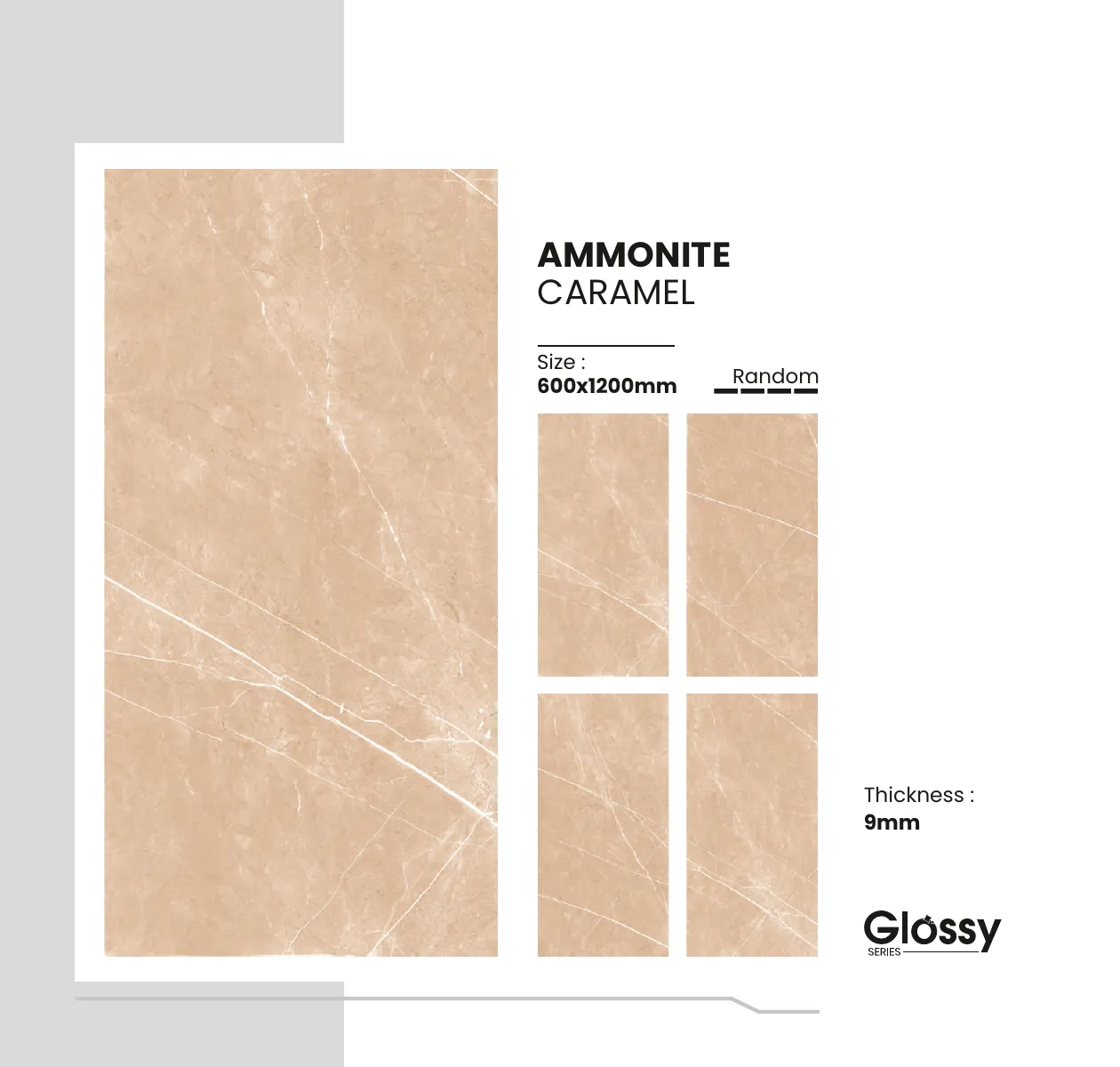 Glossy Series Catalogue 10