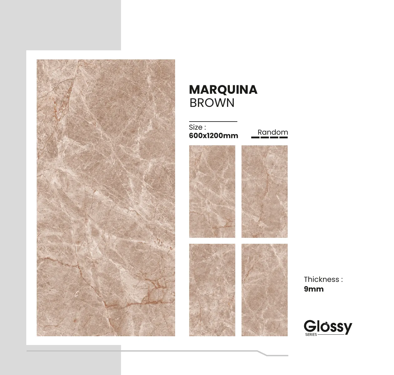 Glossy Series Catalogue 101