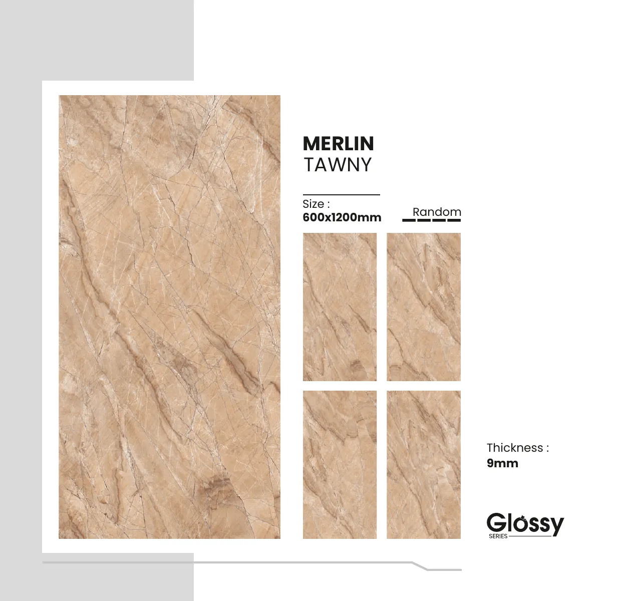Glossy Series Catalogue 105