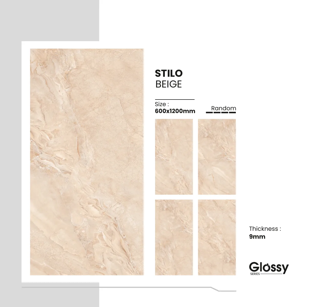Glossy Series Catalogue 161