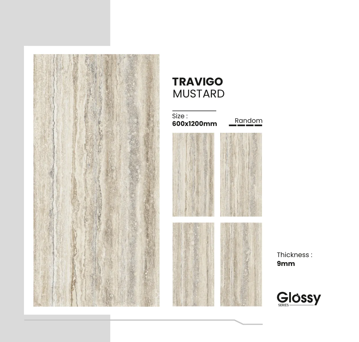 Glossy Series Catalogue 165