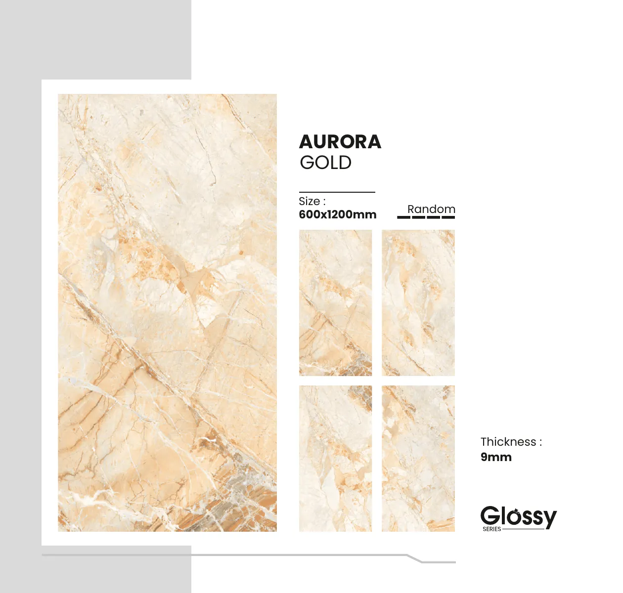 Glossy Series Catalogue 19