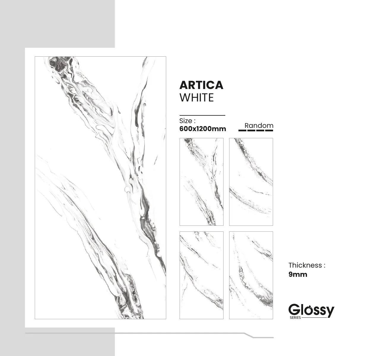 Glossy Series Catalogue 24