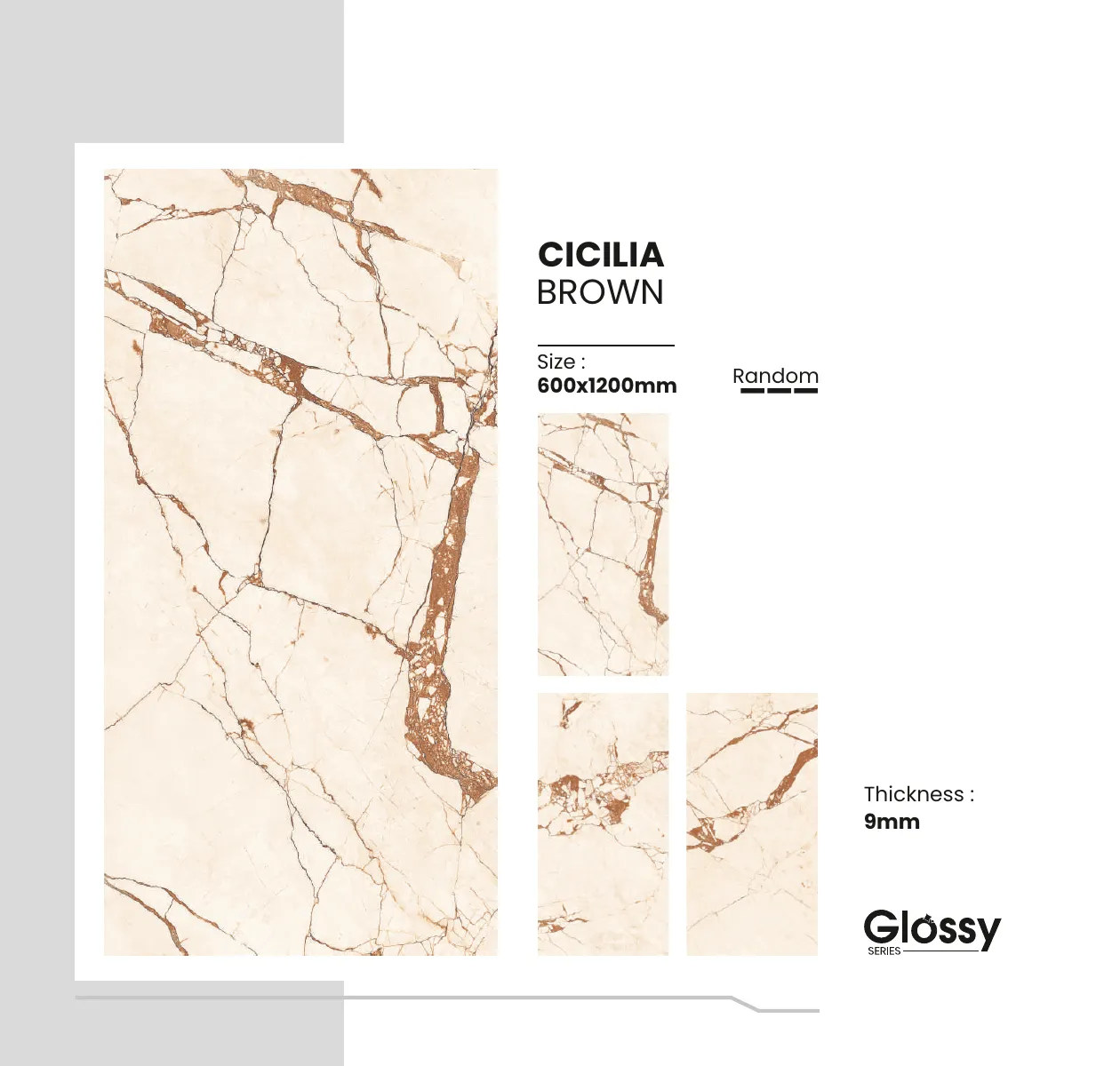 Glossy Series Catalogue 47