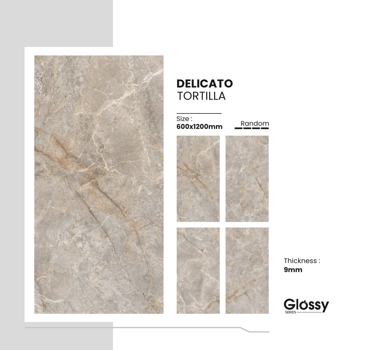 Glossy Series Catalogue 50