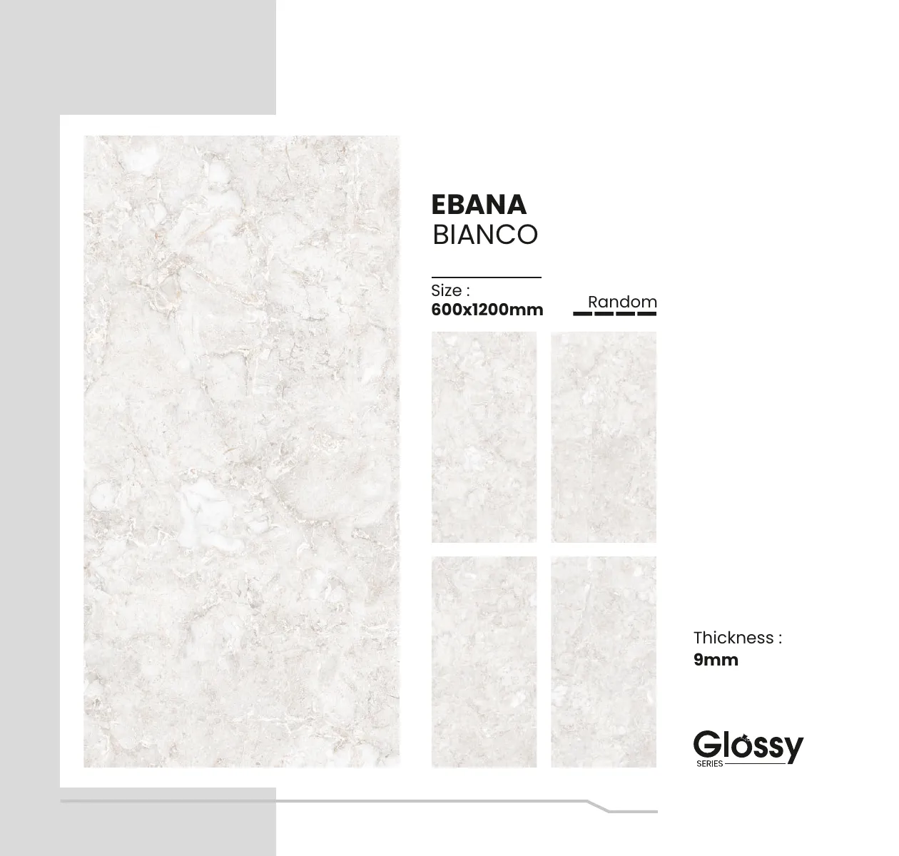 Glossy Series Catalogue 55