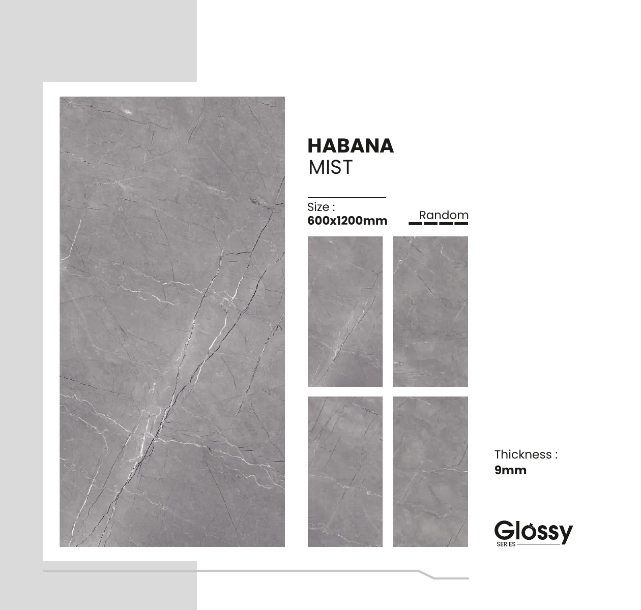Glossy Series Catalogue 84