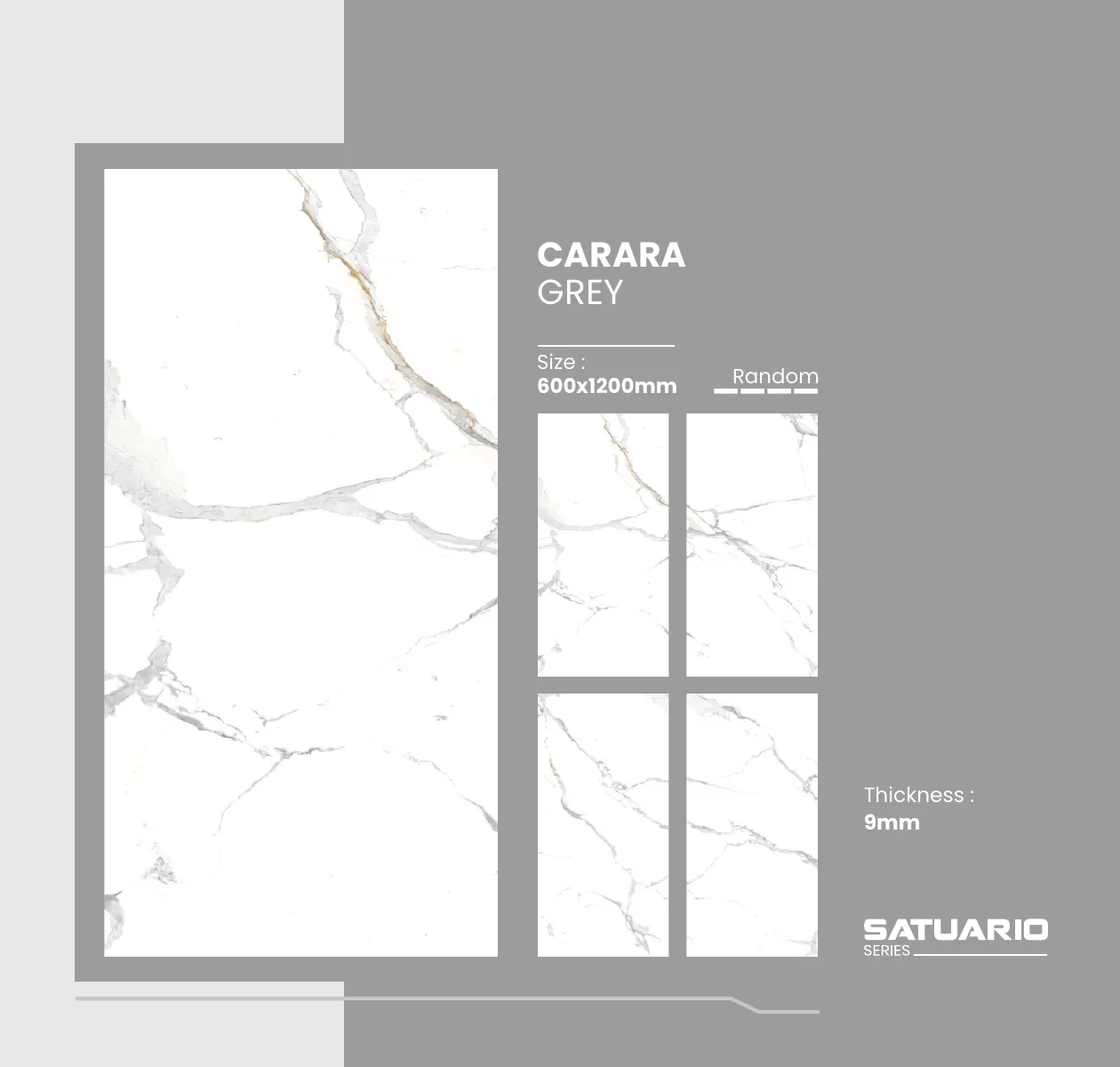 Satuario Series Catalogue 5