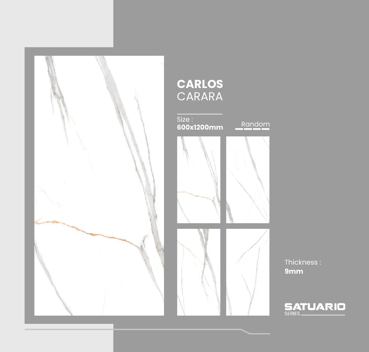 Satuario Series Catalogue 6